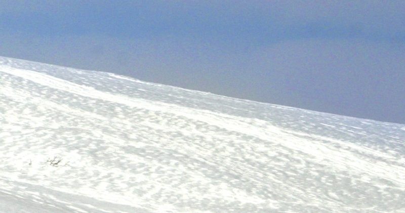 Avalanche warning in high altitude areas of many districts of Jammu an