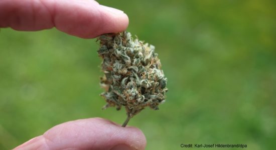In Germany, adults will be able to legally smoke cannabis on the street from April 1