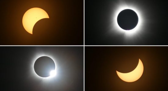 Did you catch a glimpse of the Eclipse 2024 ?