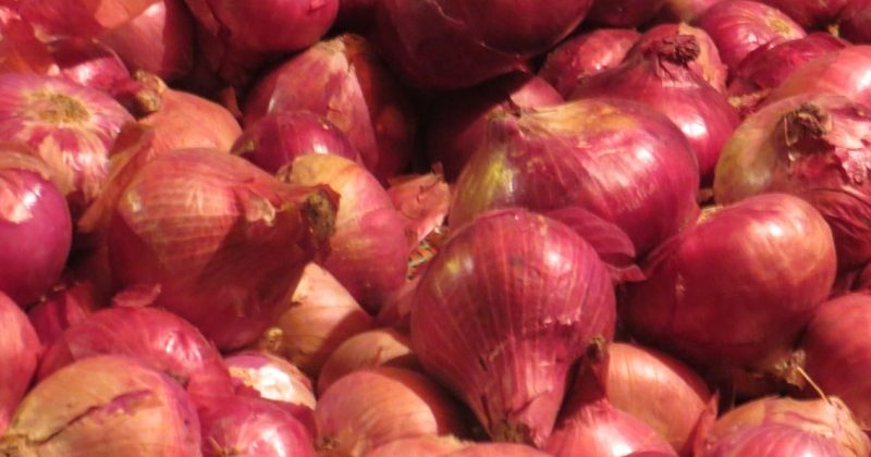 Government allowed export of onion to six neighboring countries