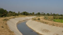 There is hardly any water even in Narmada Canal