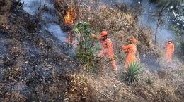 Disaster management workers extinguishing fire in the forests of Uttarakhand