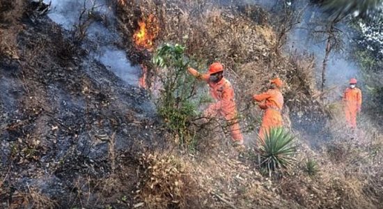 Disaster management workers extinguishing fire in the forests of Uttarakhand