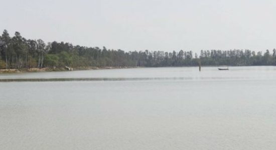 New phase of summer likely to begin in northwest India from May 16