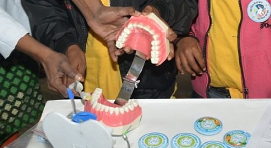 Almost half of the global population is affected by oral diseases