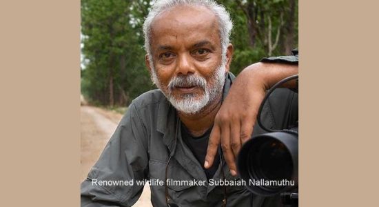 Wildlife filmmaker Nallamuthu gets V. Shantaram Lifetime Achievement Award
