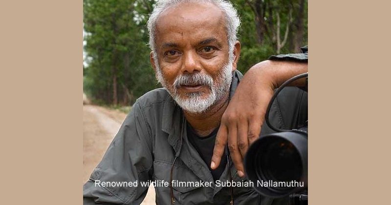 Wildlife filmmaker Nallamuthu gets V. Shantaram Lifetime Achievement Award