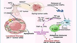 Treatments like nanotherapy possible for cancer