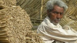 Government said, minimum wage rate is Rs 783 per day