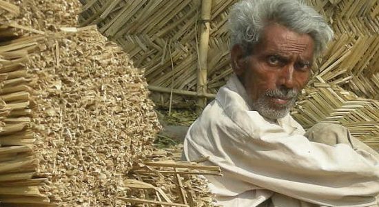 Government said, minimum wage rate is Rs 783 per day