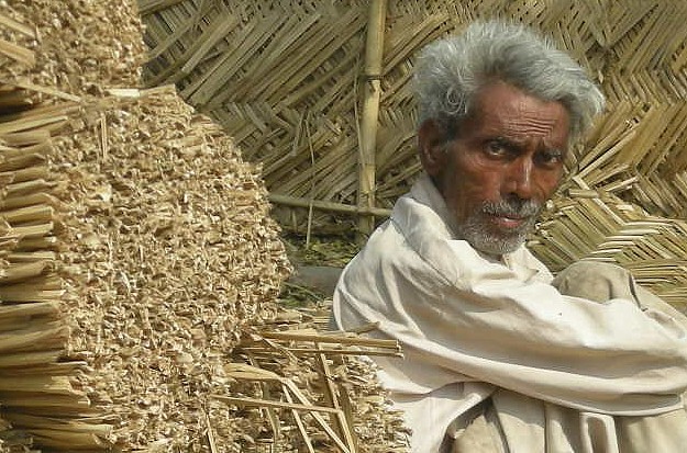 Government said, minimum wage rate is Rs 783 per day