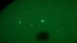 Pakistan violates ceasefire, attacks begin