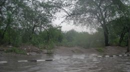 Heavy rain in South, heat wave and dust storm in Rajasthan