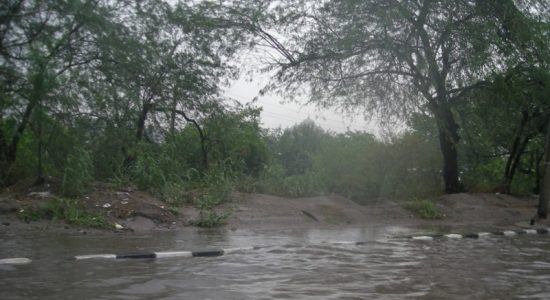 Heavy rain in South, heat wave and dust storm in Rajasthan