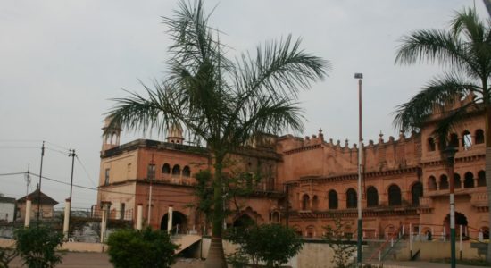 “Ek Ped Maa Ke Naam” campaign in Madhya Pradesh