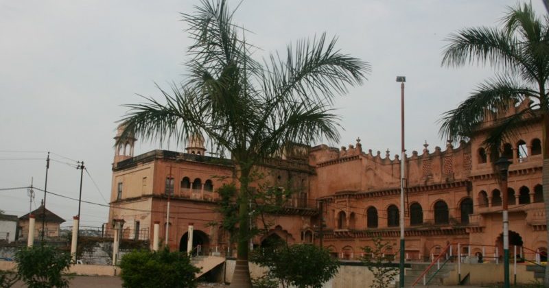 “Ek Ped Maa Ke Naam” campaign in Madhya Pradesh