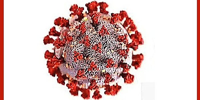 Kalyan-Dombivli reports first Covid-19 death