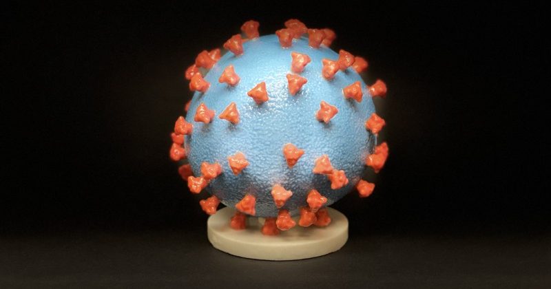 Number of Covid-19 patients in the country reached 3395