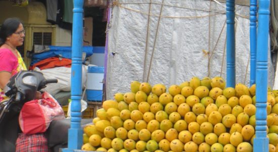 Contaminated cucumbers recalled in the US; selling of poisonous fruits is common in India