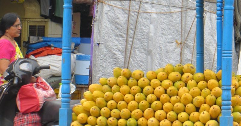 Contaminated cucumbers recalled in the US; selling of poisonous fruits is common in India