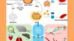 A new method for nanoparticles to help cancer therapy