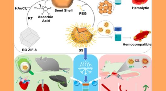 A new method for nanoparticles to help cancer therapy