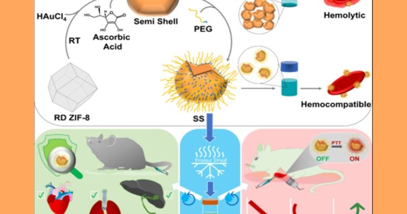 A new method for nanoparticles to help cancer therapy
