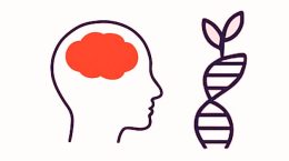 Schizophrenia: Myths and Facts