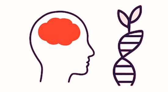 Schizophrenia: Myths and Facts