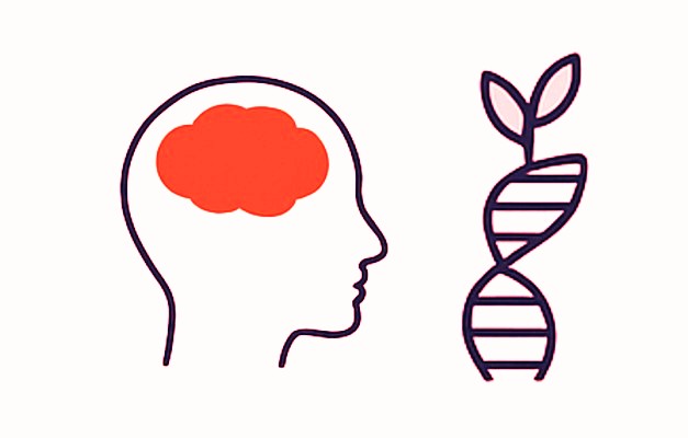 Schizophrenia: Myths and Facts