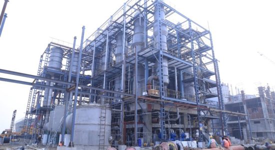 Adani and Coca-Cola bought land in Gorakhpur