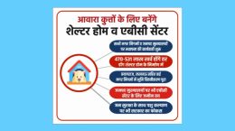 Dog Shelters to be Established in UP to Address Stray Dog Problem