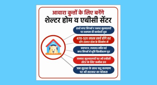 Dog Shelters to be Established in UP to Address Stray Dog Problem
