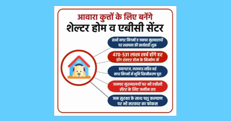 Dog Shelters to be Established in UP to Address Stray Dog Problem