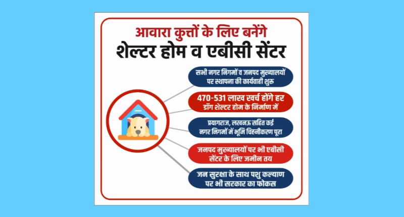 Dog Shelters to be Established in UP to Address Stray Dog Problem