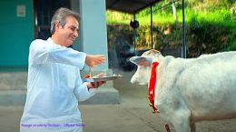 Film 'Godaan' tax-free in Uttar Pradesh