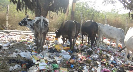 Global Municipal Waste to Reach 3.8 Billion Tons