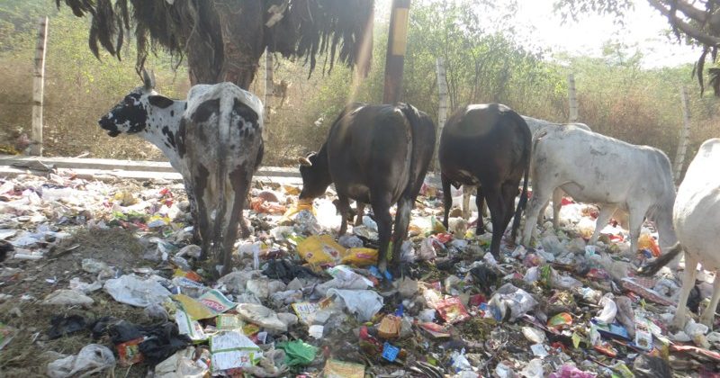 Global Municipal Waste to Reach 3.8 Billion Tons