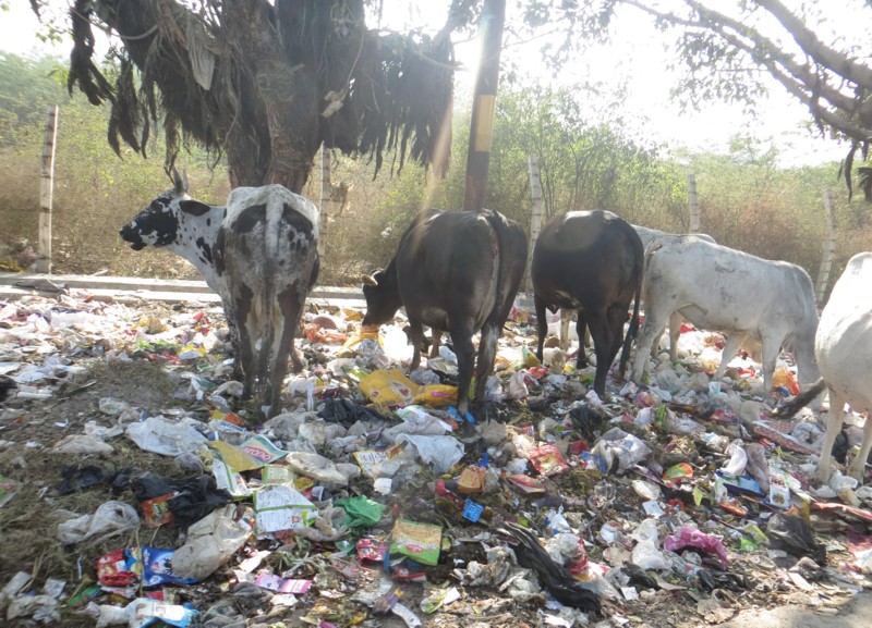 Global Municipal Waste to Reach 3.8 Billion Tons