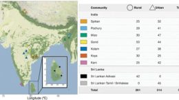 Gut Microbes in South Asians Differ from Other Populations