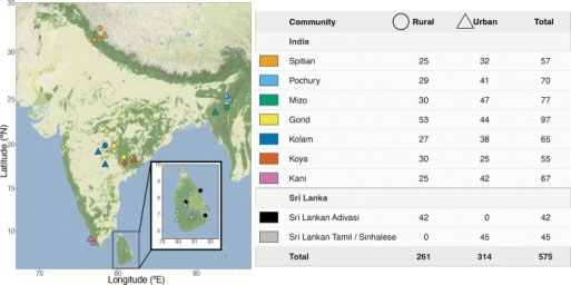Gut Microbes in South Asians Differ from Other Populations